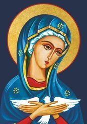 Kartka - Pneumatofora