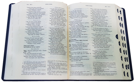 Pismo Święte Biblia Pielgrzyma - Paginatory
