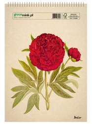 Szkicownik PIWONIA SZ15