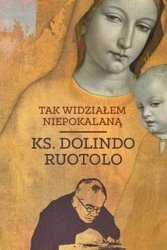 Tak widziałem Niepokalaną