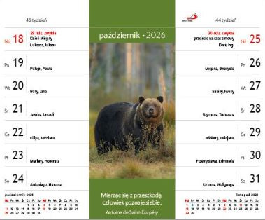 Kalendarz 2026 na biurko - Wszystko ma swój czas
