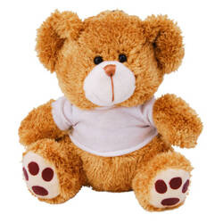Maskotka Teddy Bear