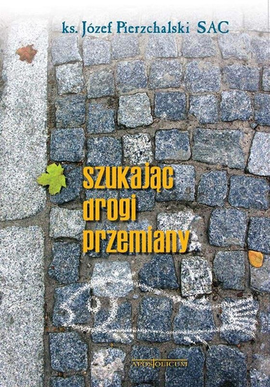 Szukając drogi przemiany