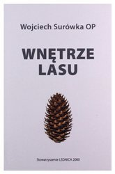 Wnętrze lasu