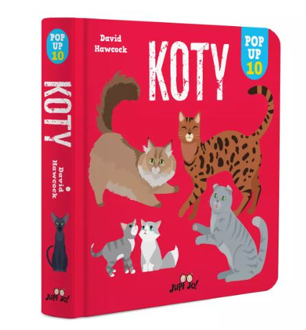 Koty. POP-UP 10