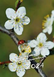 2024 z ks. Twardowskim - biedronka