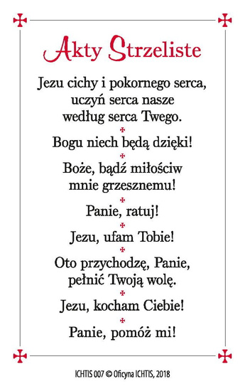 Plastikowy obrazek - Oblicze z całunu 