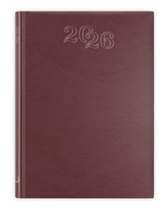 B7 STANDARD 2026 - bordowy