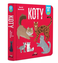 Koty. POP-UP 10