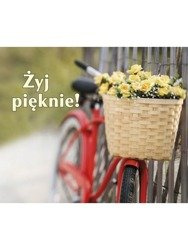 Perełka nr 109 Żyj pięknie!