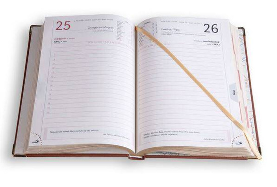 Terminarz A5 LUX ZŁ. 2025 - brązowy