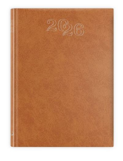 B7 STANDARD 2026 - brązowy