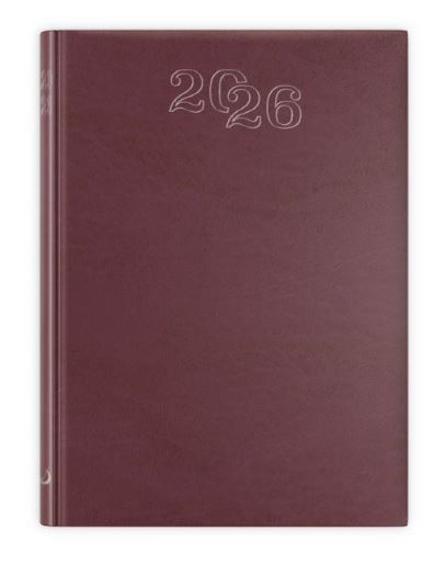 B7 STANDARD 2026 - bordowy