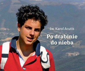 Po drabinie do nieba