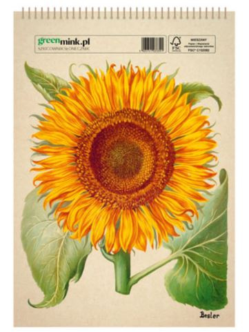 Szkicownik SŁONECZNIK SZ18
