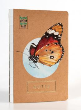 Notes Motyl