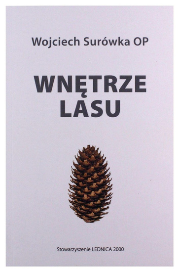 Wnętrze lasu