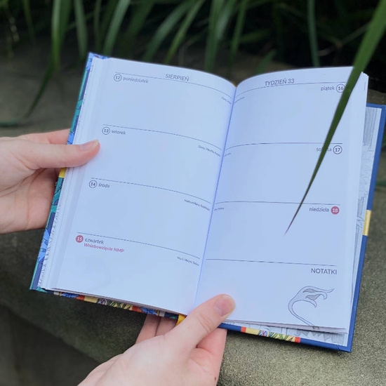 Kalendarz książkowy 2024 Bratki