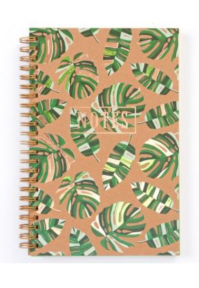 Notes Jungle I