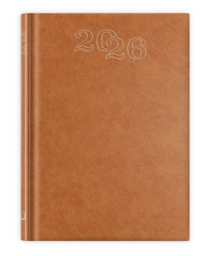 B6 STANDARD 2026 - brązowy