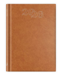 B6 STANDARD 2026 - brązowy