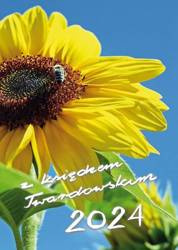 2024 z ks. Twardowskim - słonecznik