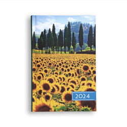 Terminarz B6 KOLOROWY 2024 - słoneczniki