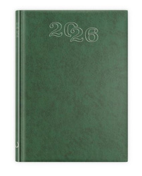 B6 STANDARD 2026 - zielony