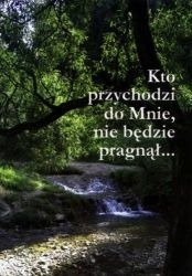 Kto przychodzi do Mnie, nie będzie pragnął...