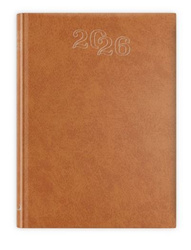 B7 STANDARD 2026 - brązowy