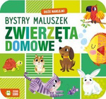 Bystry maluszek. Zwierzęta domowe