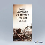 Baner Wielki Post - To nie gwoździe Cię przybiły lecz mój grzech