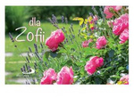 Imiona 44 "Dla Zofii"