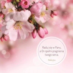 Podstawka korkowa - Raduj się w Panu