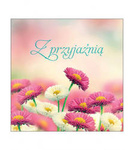 Z przyjaźnią