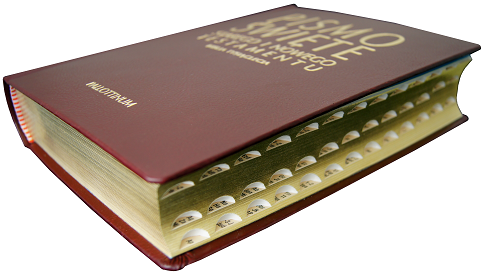 Biblia Tysiąclecia - opr. skórzana złote tłoczenia